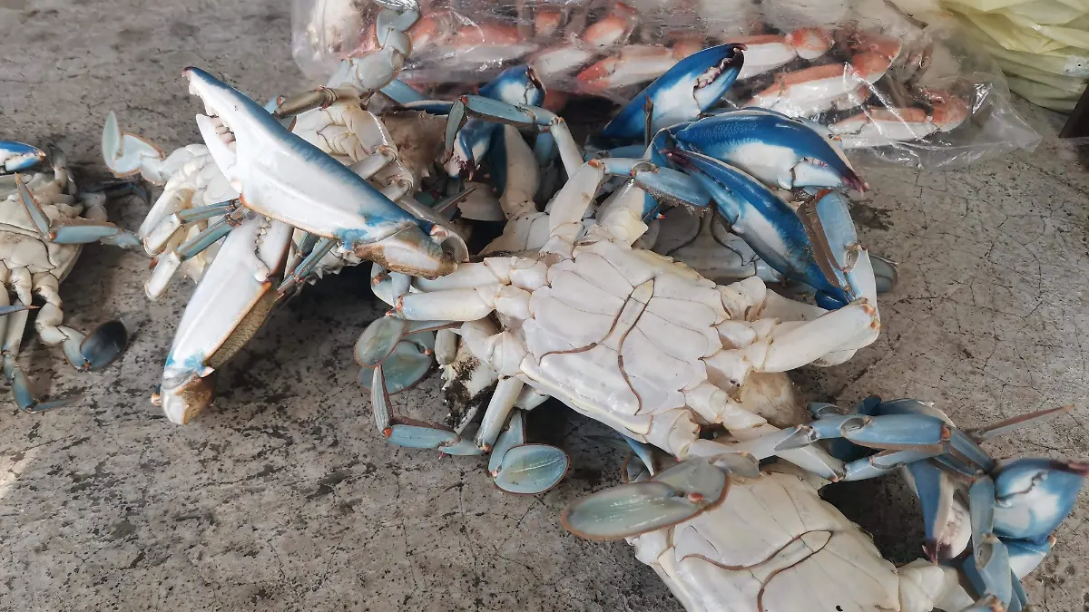 Jaiba fresca que el mismo vendedor captura es ofrecida en el Paso del Humo, Veracruz