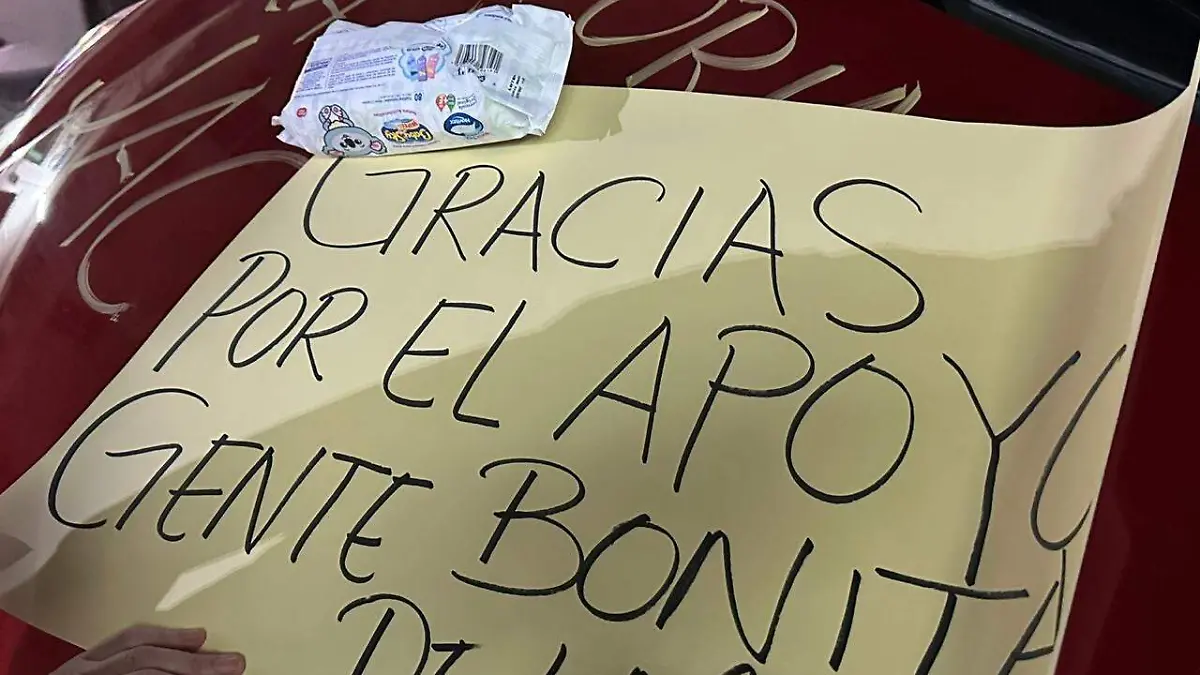De acuerdo a Thalía y Maribella el vehículo no está debidamente alineado, presenta daños en la pintura y mal funcionamiento del freno de mano