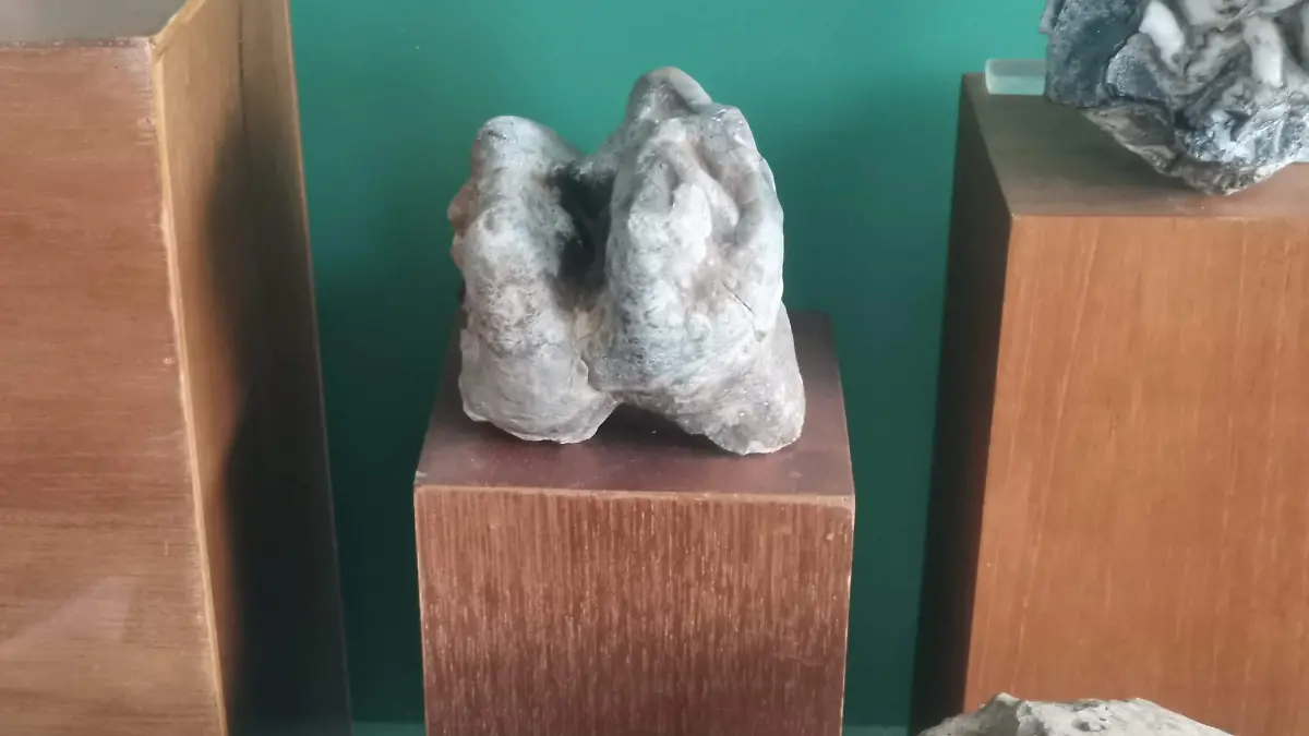 Piezas arqueológicas y prehistóricas forman parte de la exposición en Tampico Alto