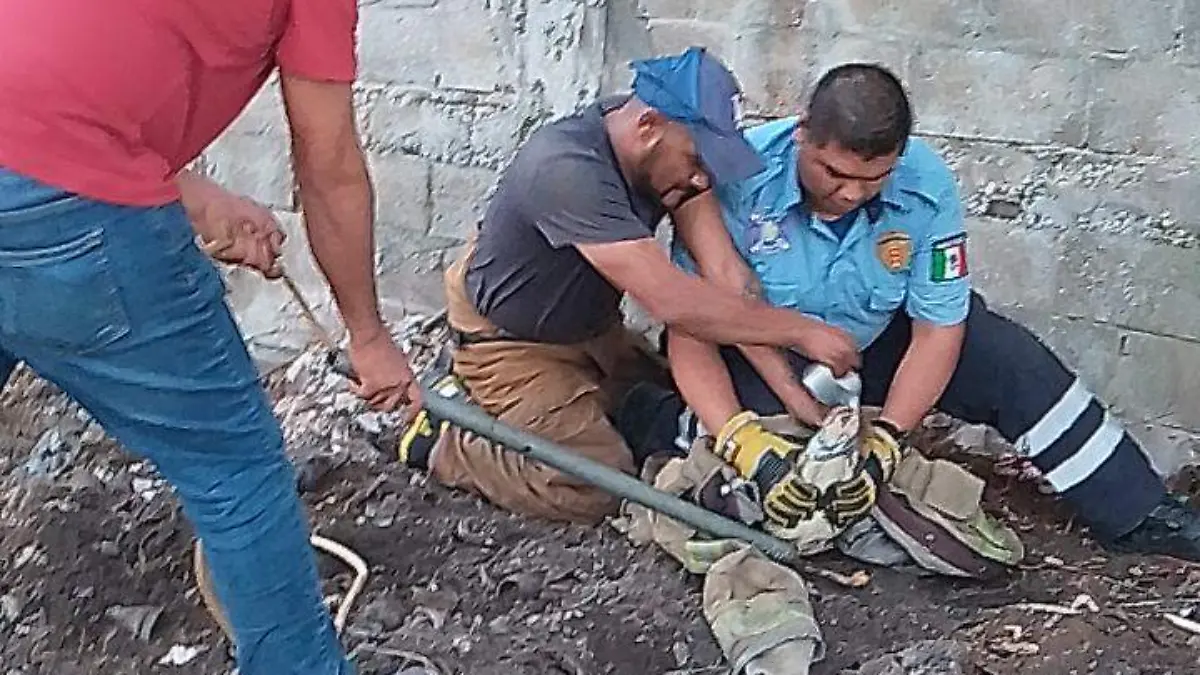 Los elementos de Rescates Voluntarios lograron la captura del cocodrilo en Altamira