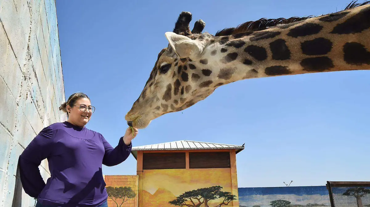 El Zoológico de Nuevo Laredo realizara una dinámica divertida este San Valentín
