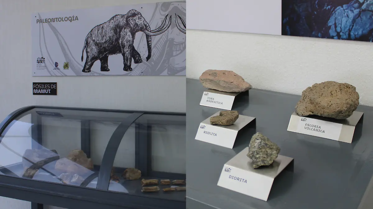 Museo geologia