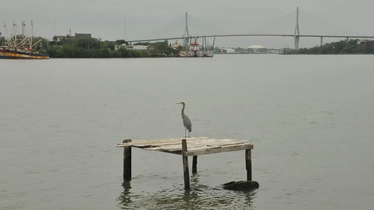 IMG-20250218-WA0064