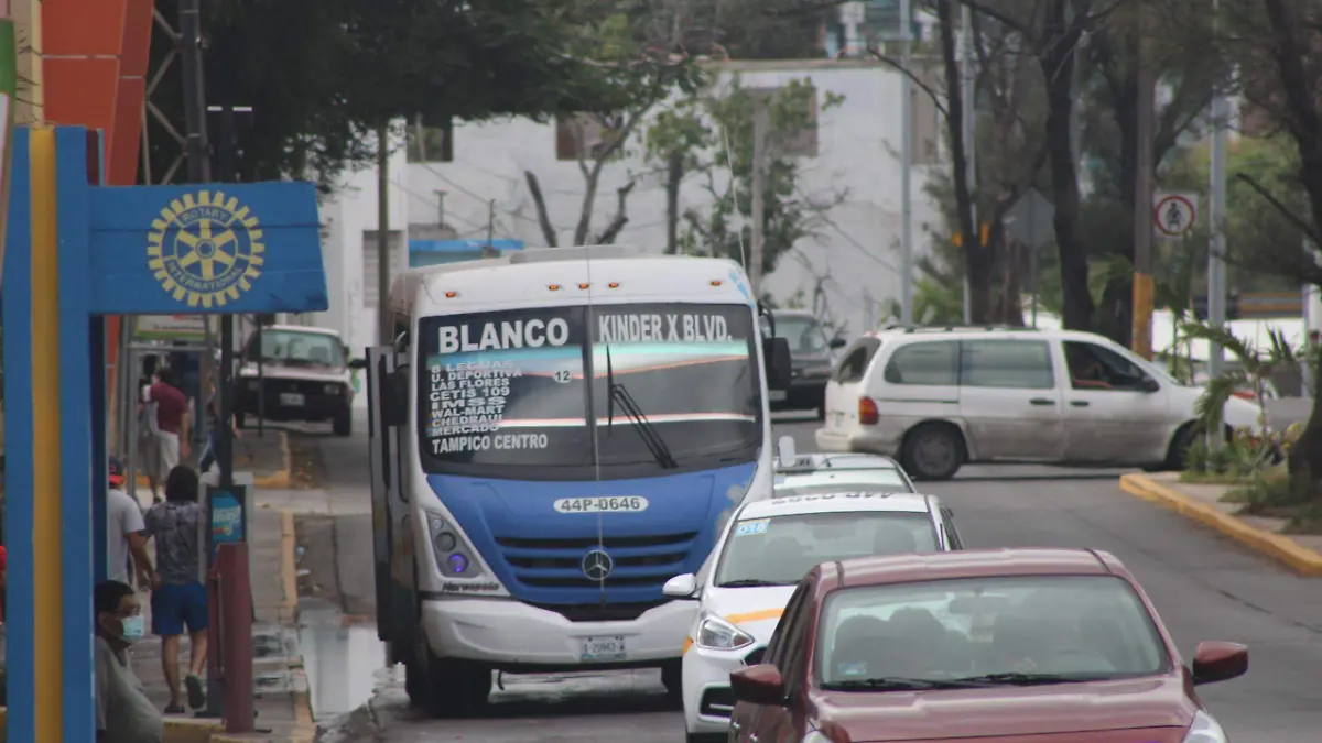 Capacitarán