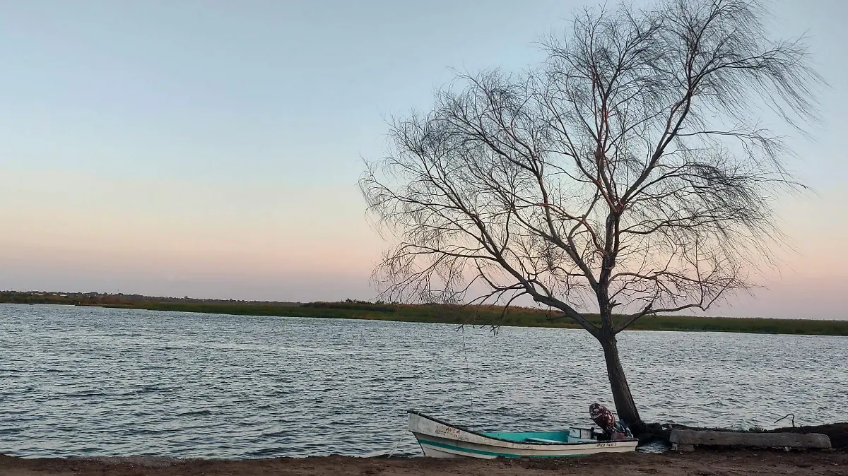 IMG_20250228_182320978_HDR