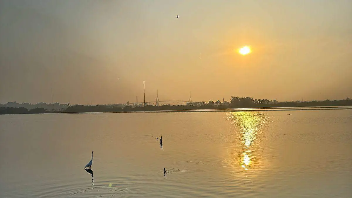 Laguna Clima Tampico
