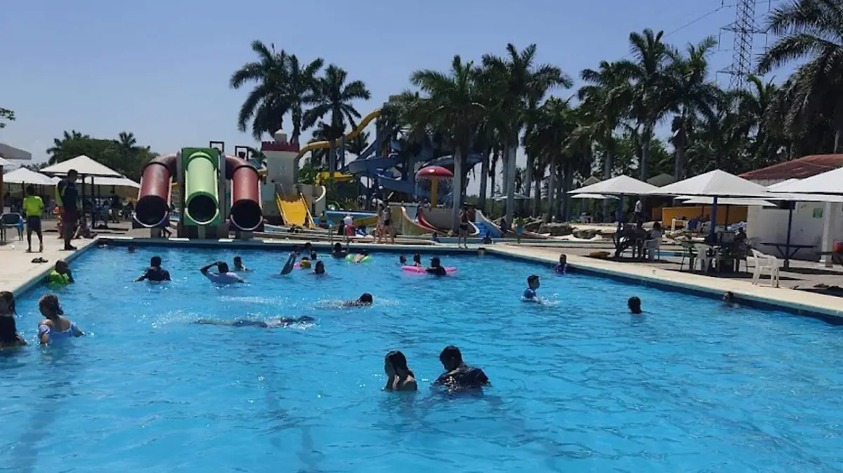 Lagartomanía abrirá sus puertas este mes de marzo 