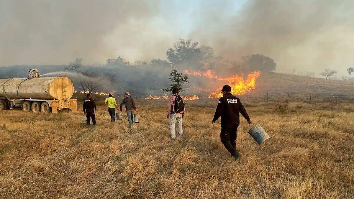 A pesar de la intensidad del fuego, no se han reportado pérdidas humanas