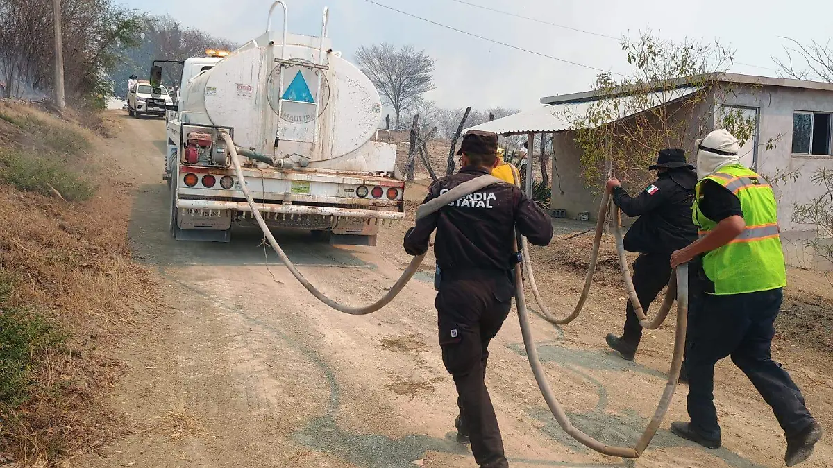 Bomberos, Protección Civil de Tamaulipas y Nuevo Morelos, Guardia Estatal y Comisión Nacional Forestal trabajan en conjunto