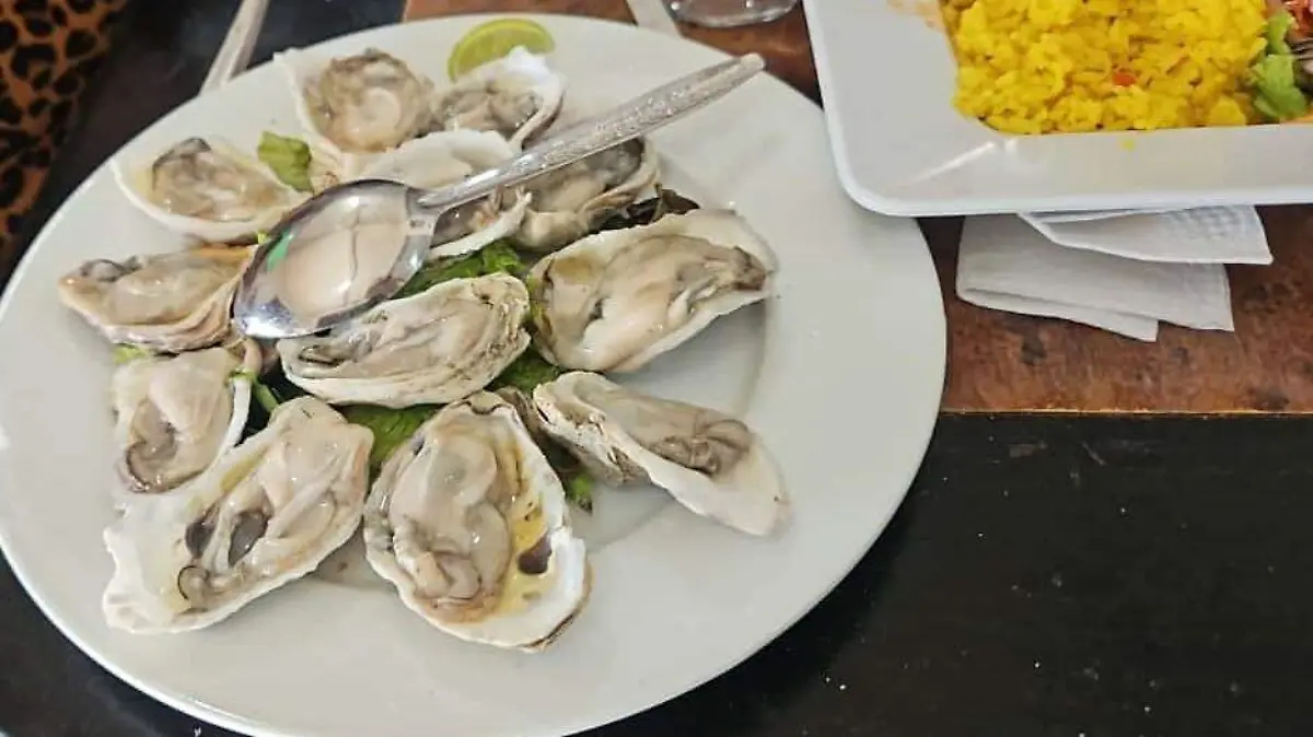 Los ostiones en su concha, de las primeras botanas de mariscos en Tampico