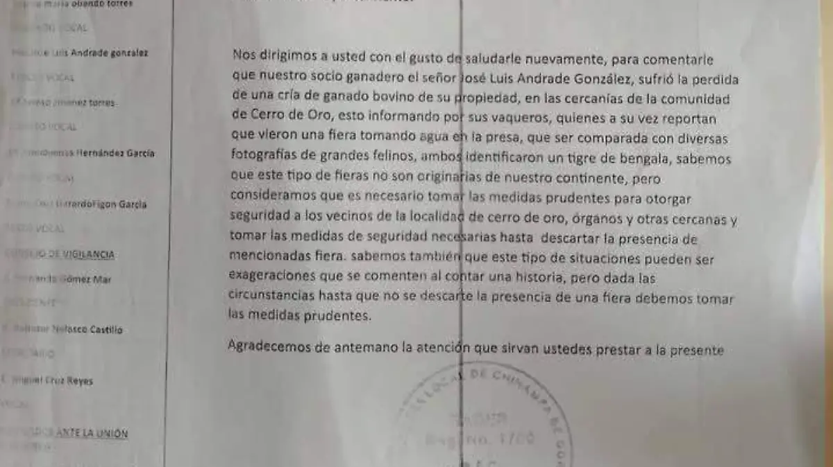 Ataque de supuesto tigre de Bengala tiene en alerta a ganaderos del norte de Veracruz 