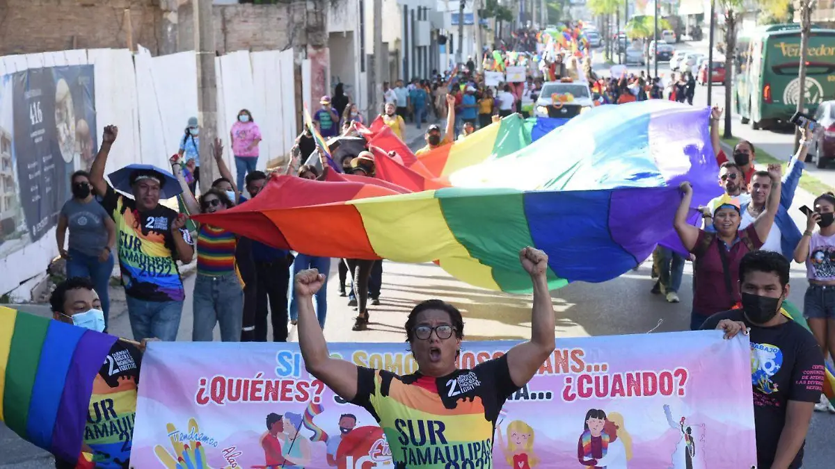 PIDEN MÁS LEYES QUE PROMUEVAN LA VISIBILIDAD