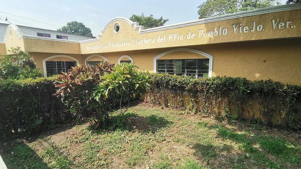 Registrar el hierro quemador garantiza la identificación legal del ganado