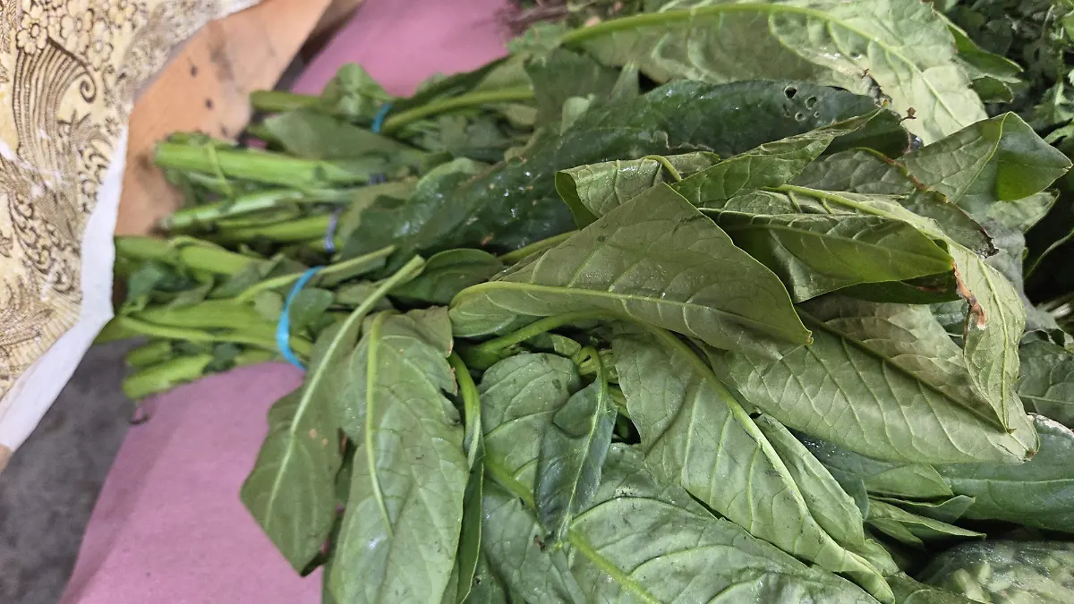 Son los vegetales versátiles en la cocina mexicana