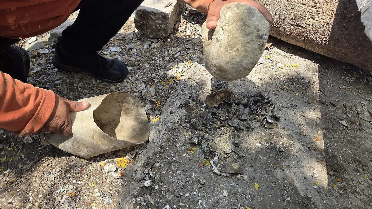 Pescadores mejoran sus capturas con el uso de ostión y almeja como carnada, cuando los peces se acercan, sueltan las redes