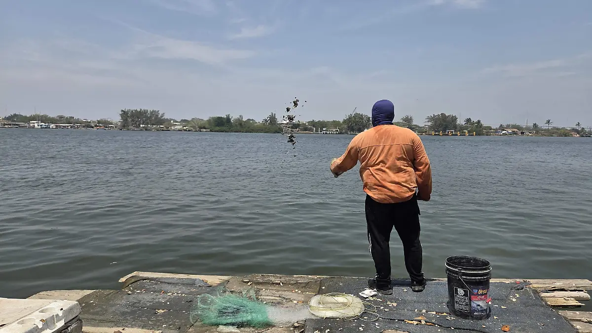 En algunas ocasiones, los pescadores extraen los ostiones y almejas de la laguna de Pueblo Viejo, mientras que otras veces los compran por encargo