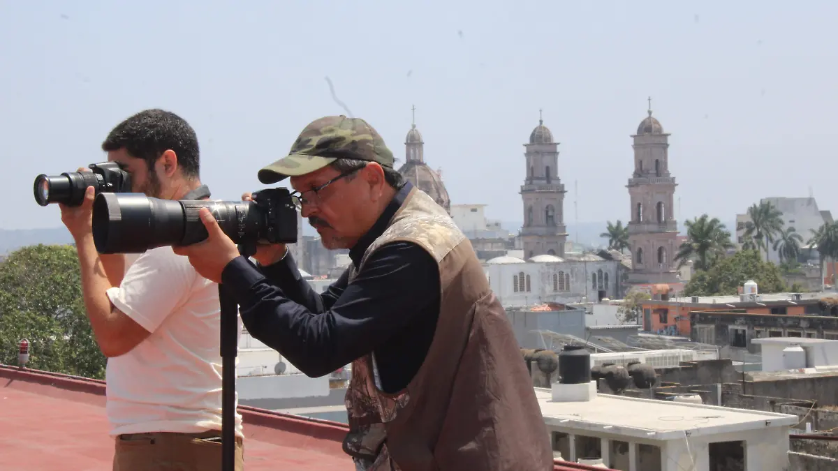 Club de Observadores de la Biodiversidad de Tamaulipas