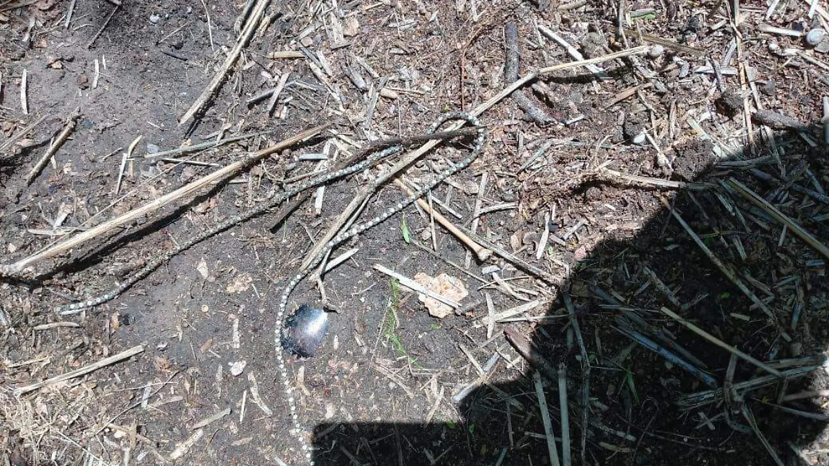 El sábado 29 de marzo realizaron el hallazgo de lo que presumen es una fosa clandestina en el rancho “La Rosita”