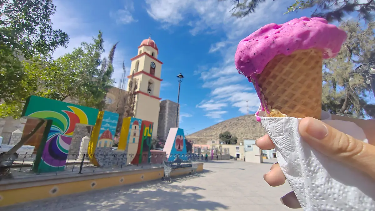 El Pueblo Mágico de Tula, Tamaulipas tiene una variedad de nieves artesanales utilizando flora de la región