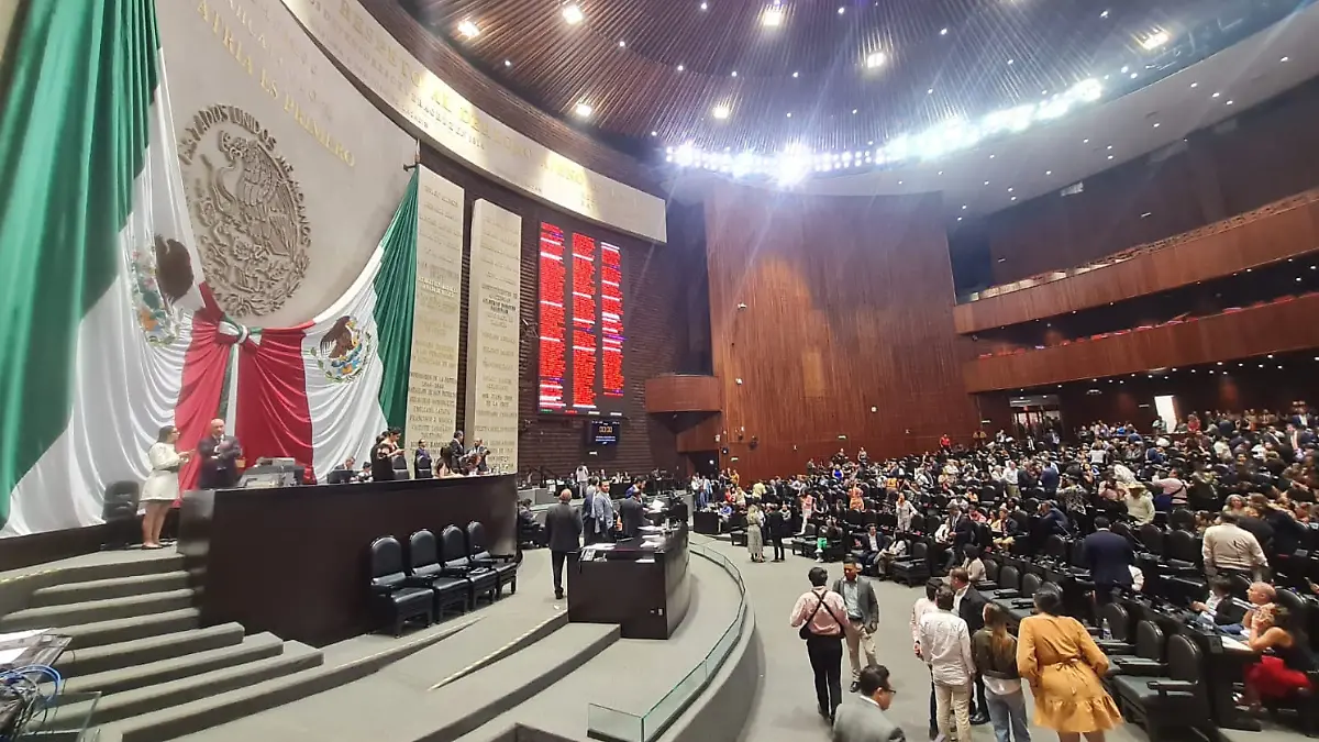 Cámara de Diputados (4)