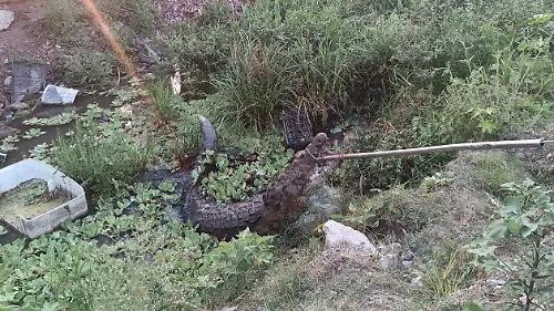 El enorme cocodrilo