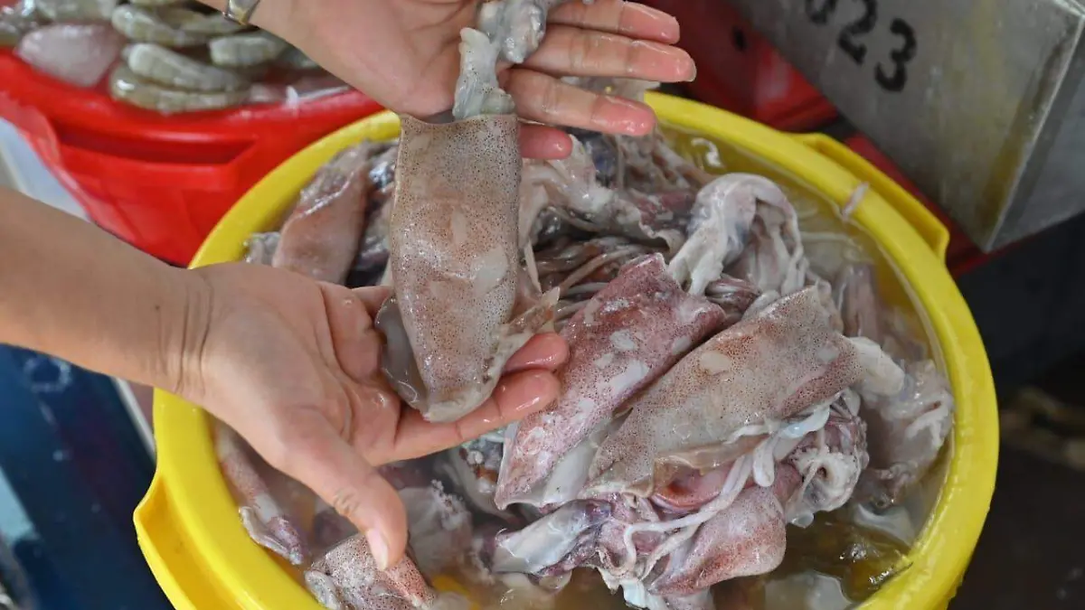 El pulpo y el calamar son productos más solicitados por los compradores
