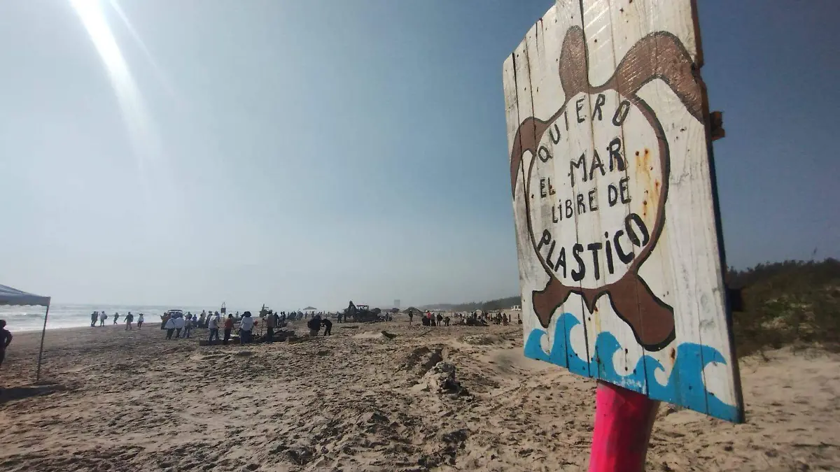 Buscan garantizar condiciones óptimas para la anidación y conservación de la especie