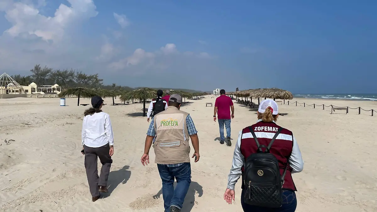 Proyecto reglamento Miramar