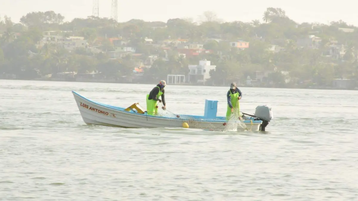 Capturas de pescado y camarón favorecen la economía de pescadores y sus familias