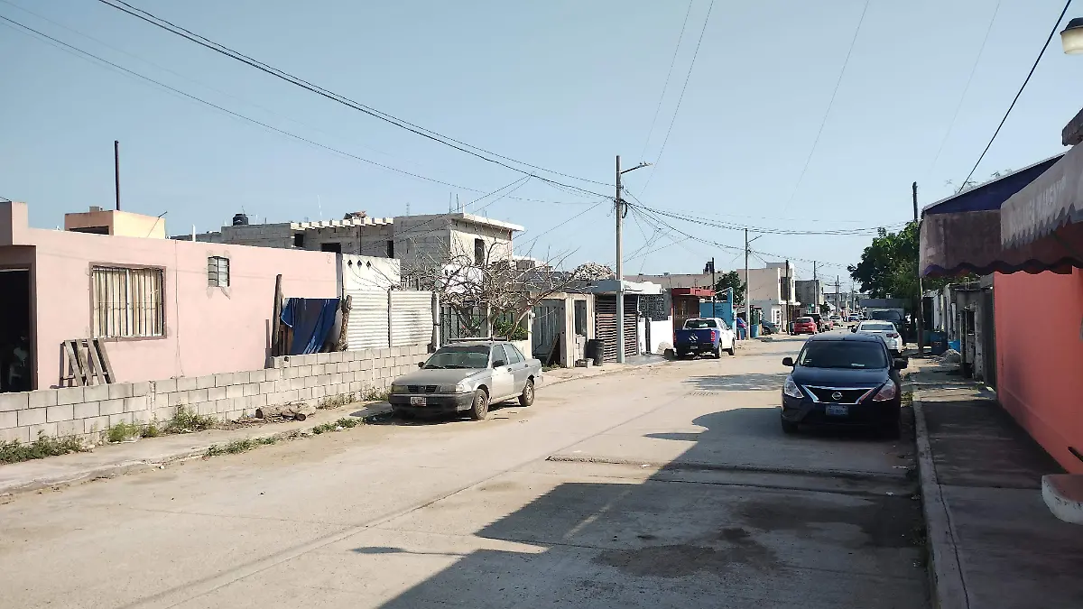 Gatos fraccionamiento Altamira