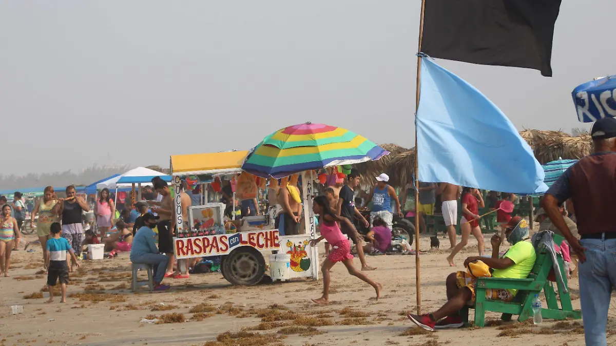 La bandera azul indica que hay presencia de medusas
