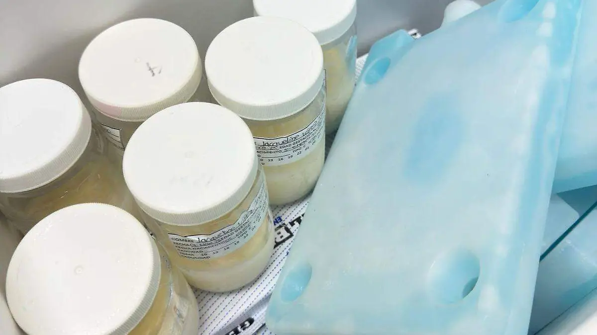 Tamaulipas banco leche