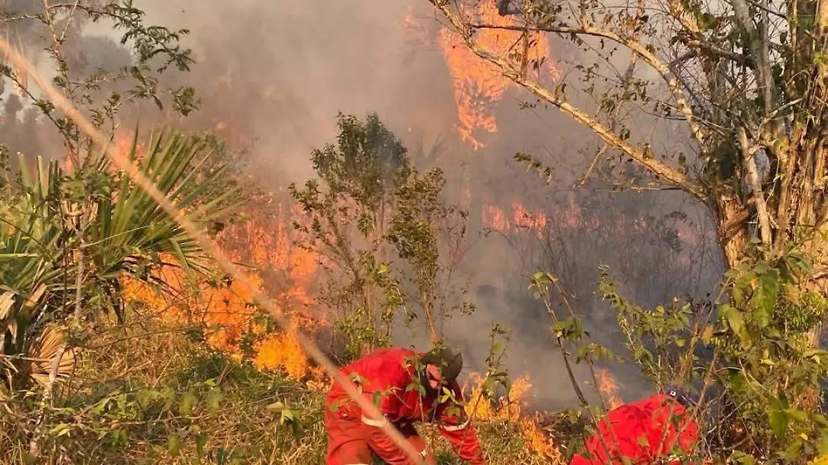 Se eleva el riesgo de provocar incendios forestales que puedan resultar de consecuencias lamentables