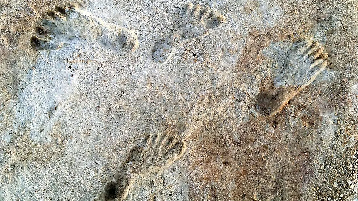 Huellas humanas