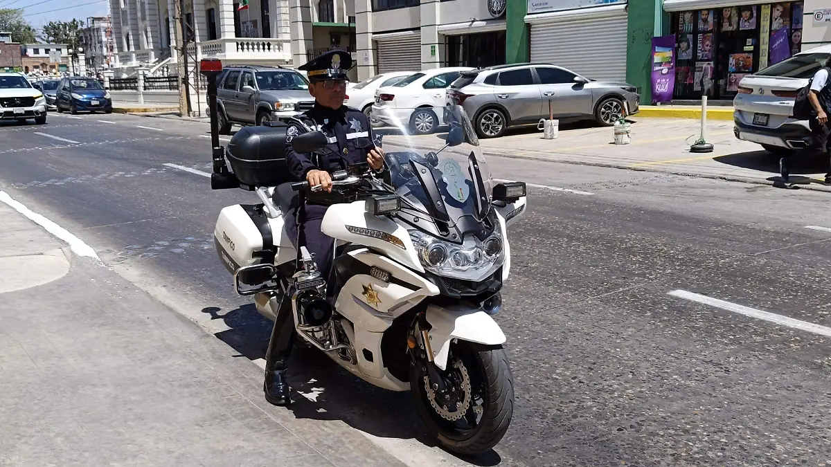 Comandante Tránsito Tampico