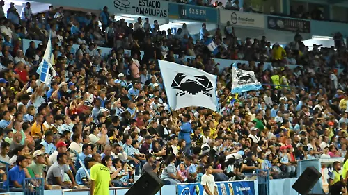 AFICION (4)