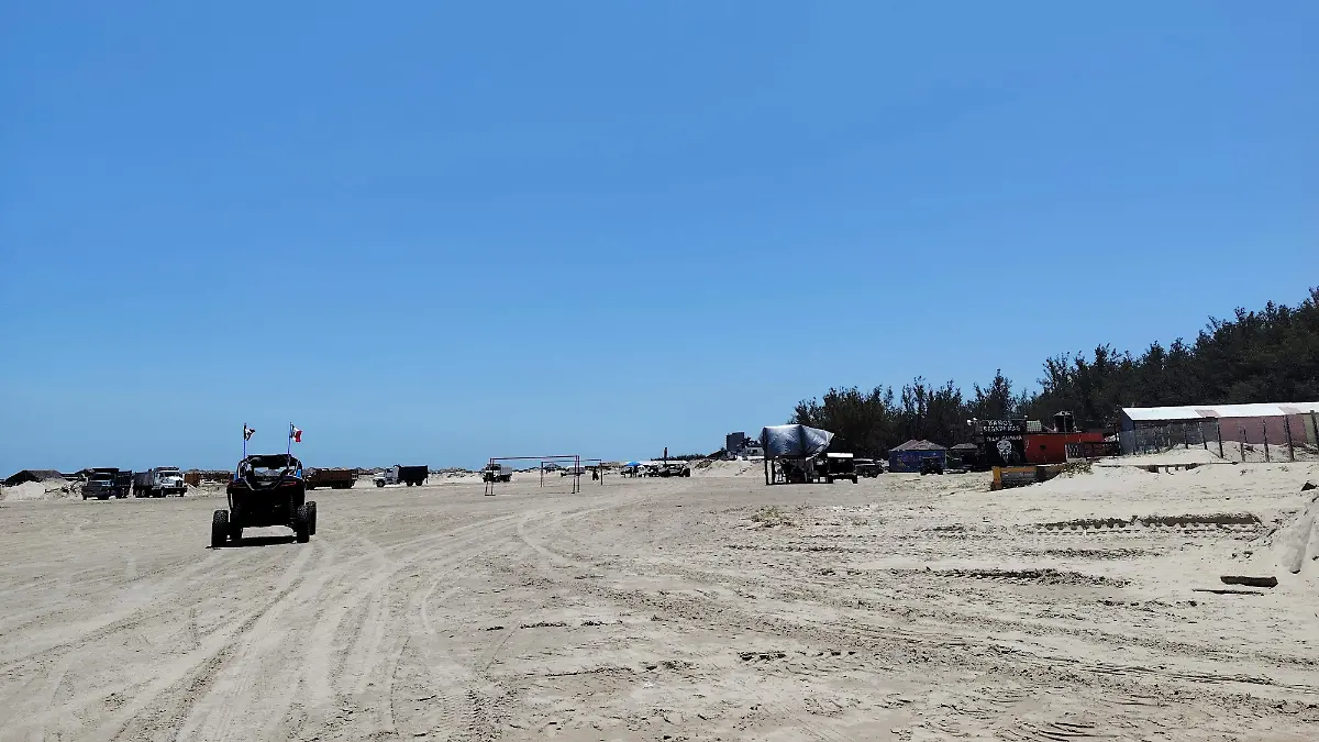 Instalarán barreras de contención en playas de Tamaulipas para proteger a tortugas lora