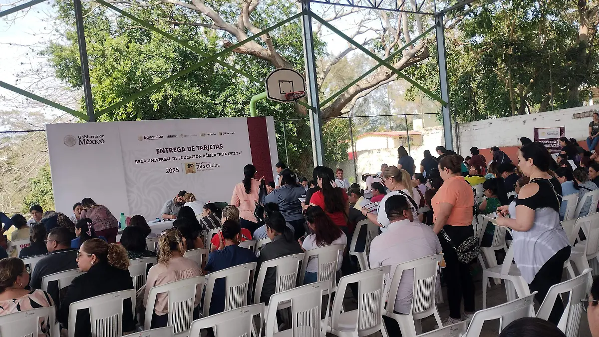 Entre tarjetas Bienestar