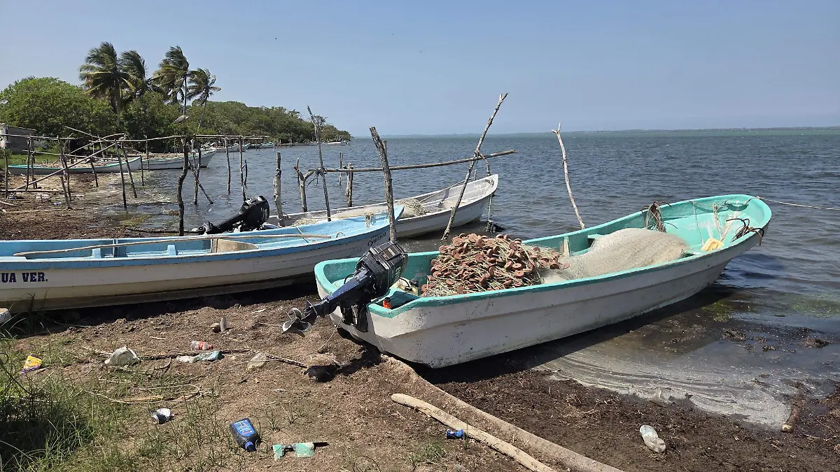 Se prevé una crisis pesquera, financiera y comunitaria en la Isla Juan A. Ramírez por escasez en la laguna de Tamiahua