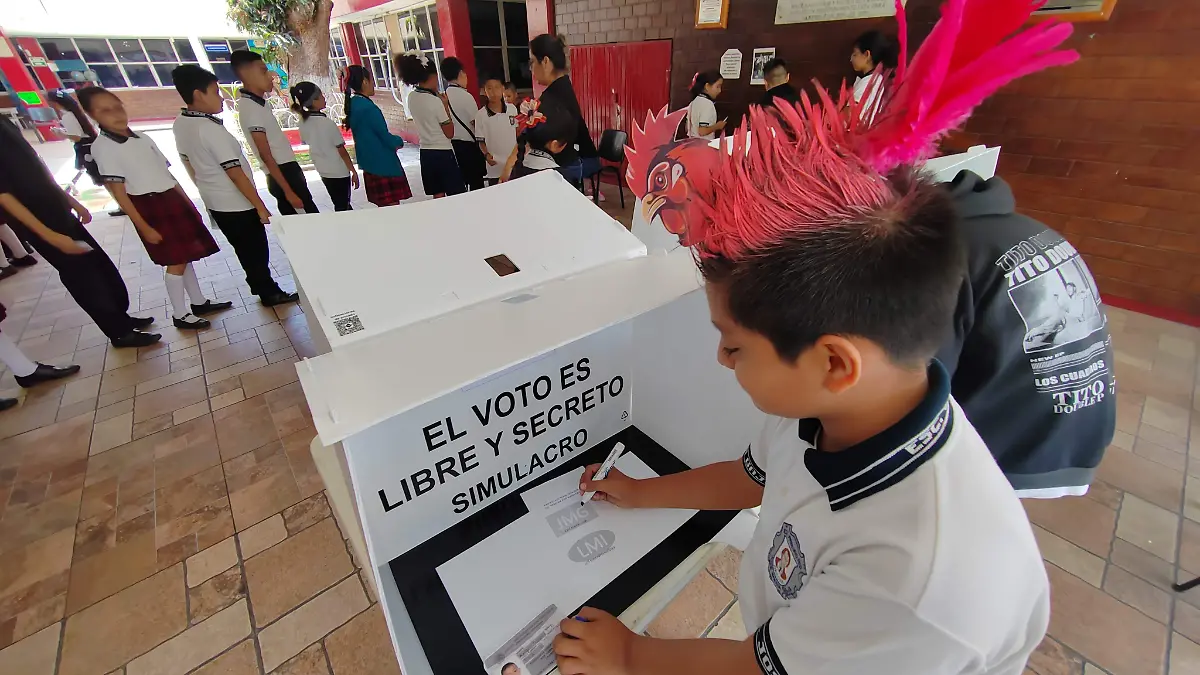 Todos los estudiantes crearon una tarjeta de identificación personal para votar 