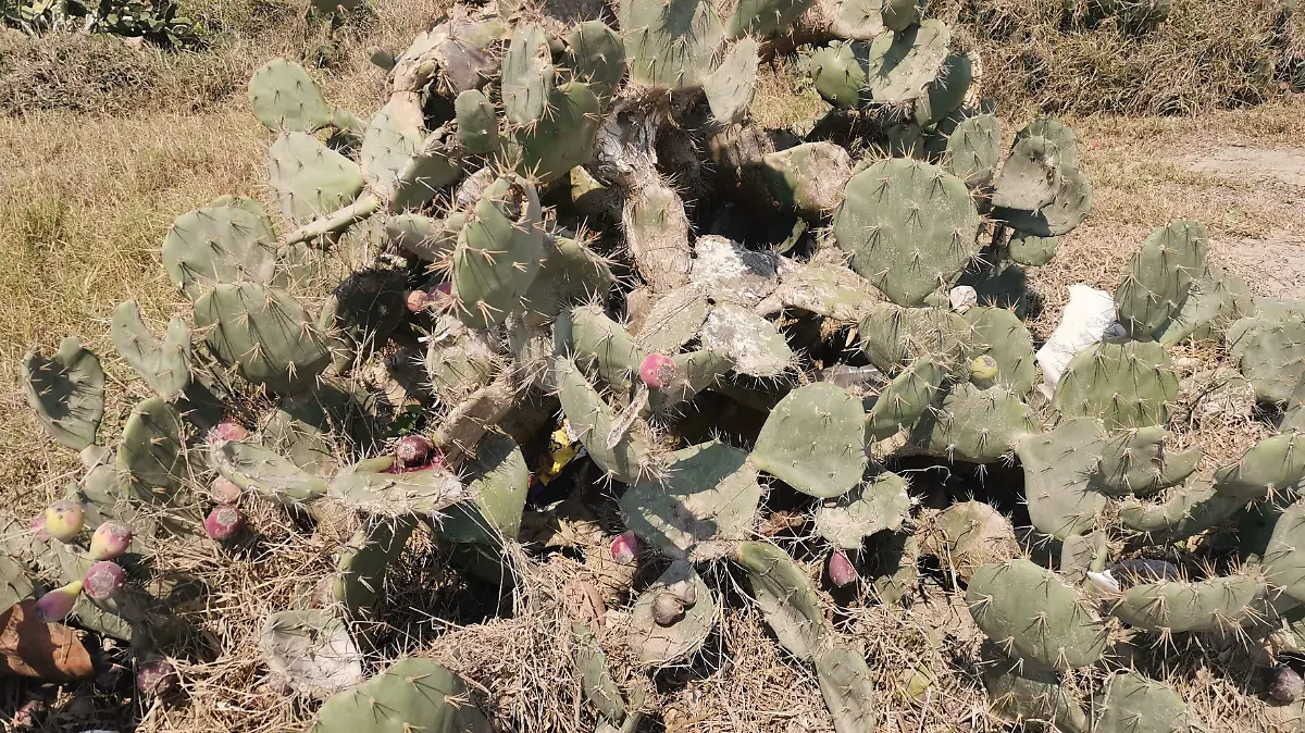 Habitantes de las comunidades en riesgo durante sus labores en el campo