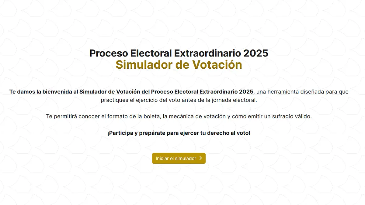 Es una herramienta diseñada para que practiques el ejercicio del voto antes de la jornada electoral