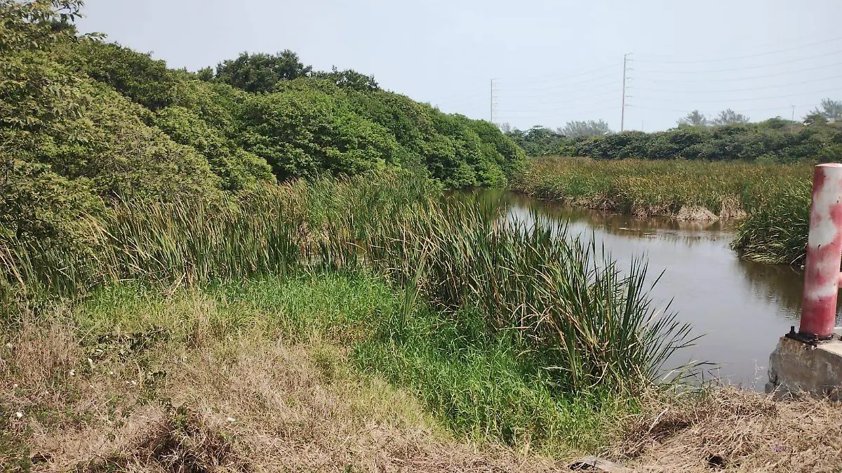 El cuerpo sin vida de una mujer fue encontrado flotando en una laguna de la colonia Nuevo Madero