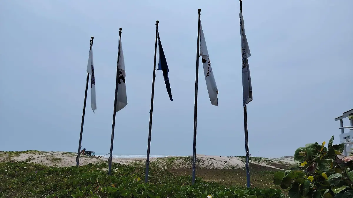 La zona de afectación está dentro un área certificada Blue Flag, que protege al entorno natural