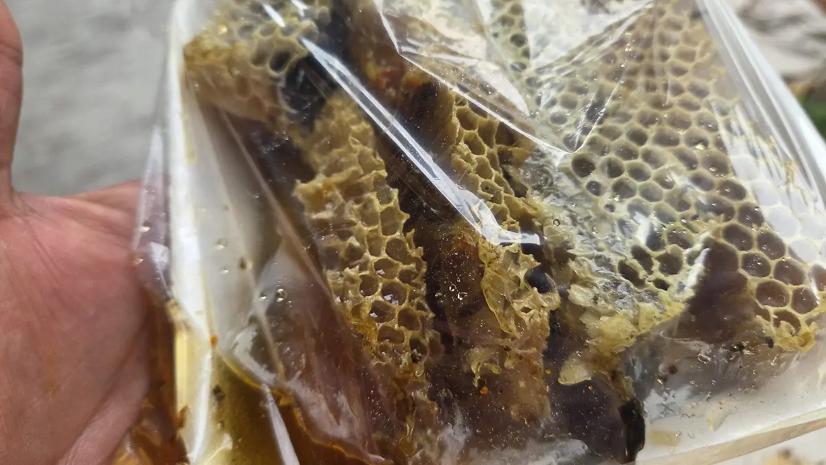 La oportunidad de consumir miel en su estado más puro