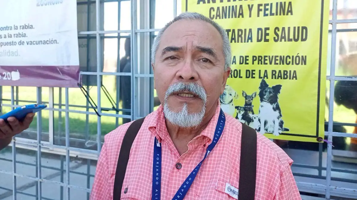 Golpe de calor en mascotas: síntomas y cómo prevenirlo en temporada extrema