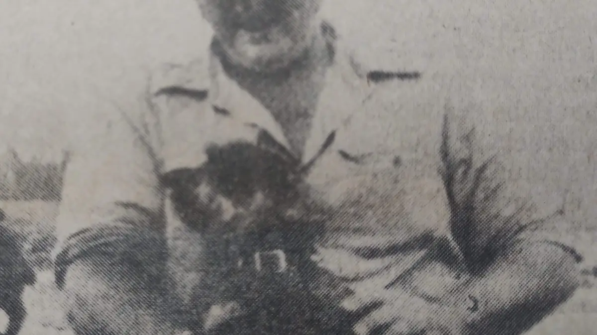 Cuando la rabia canina desató el caos en Tampico: tres muertos y una ciudad en alerta