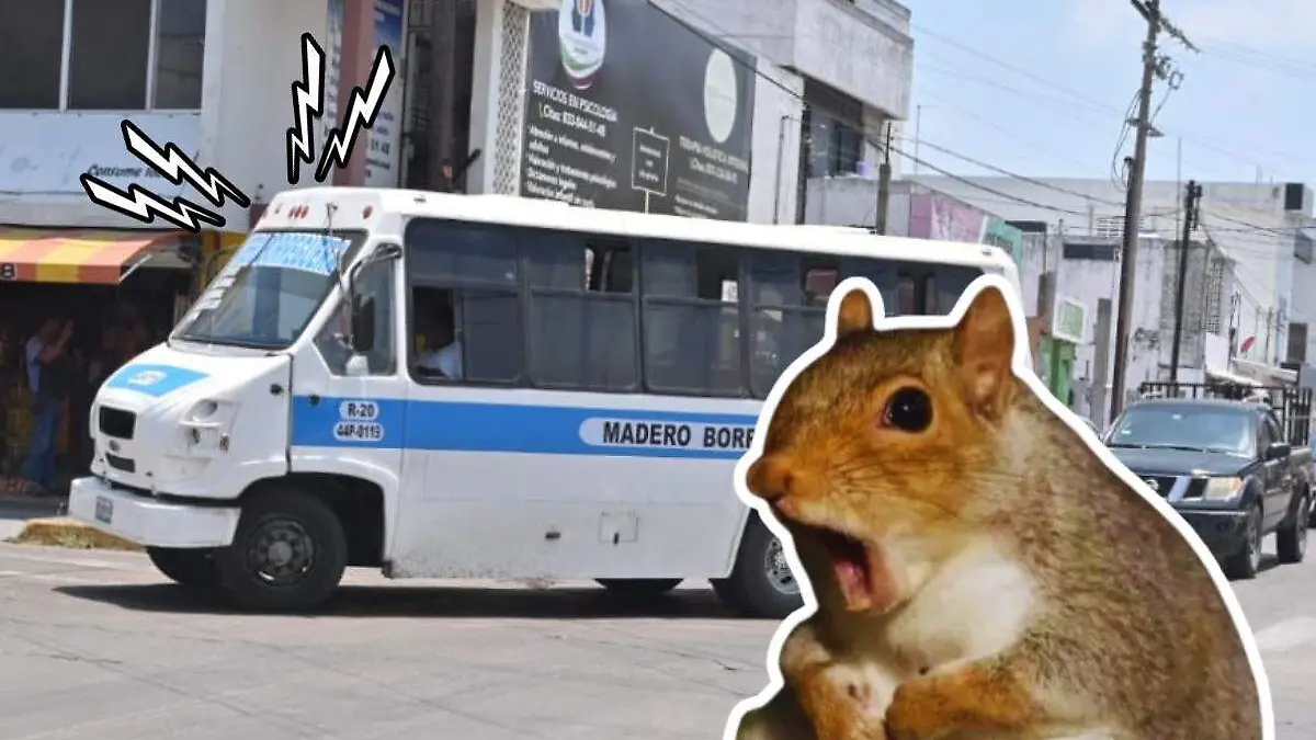Transporte publico Tampico cornetazos