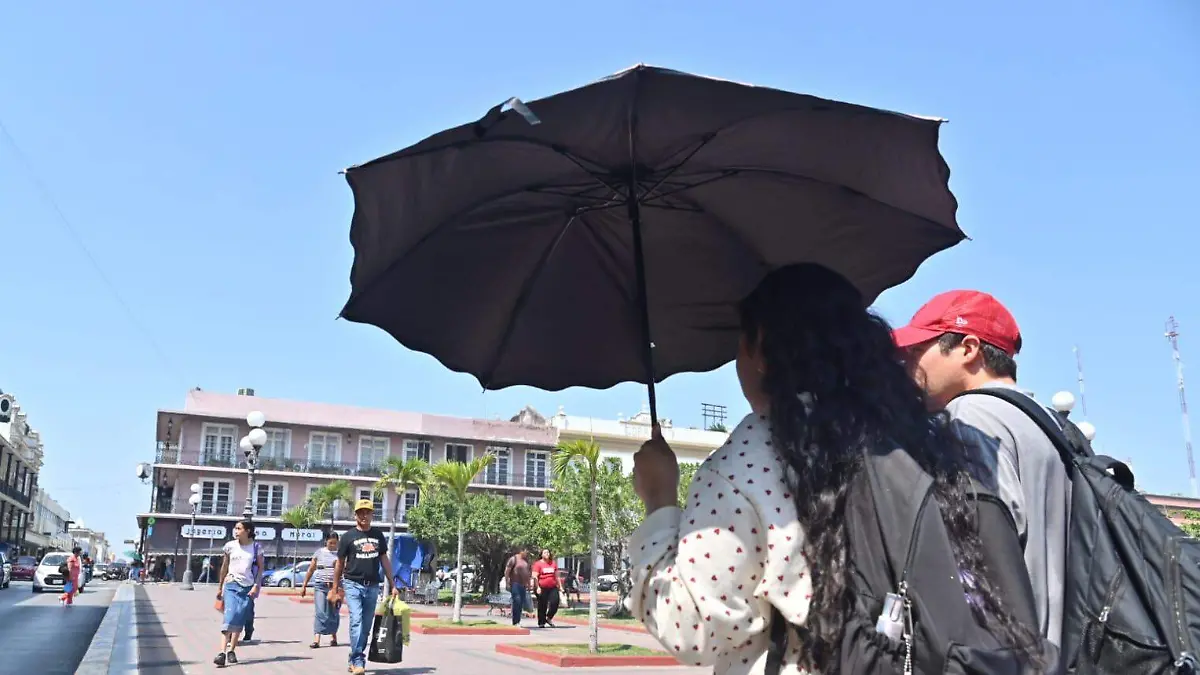 WhatsApp Image 2025-05-16 at 1.17.15 PM