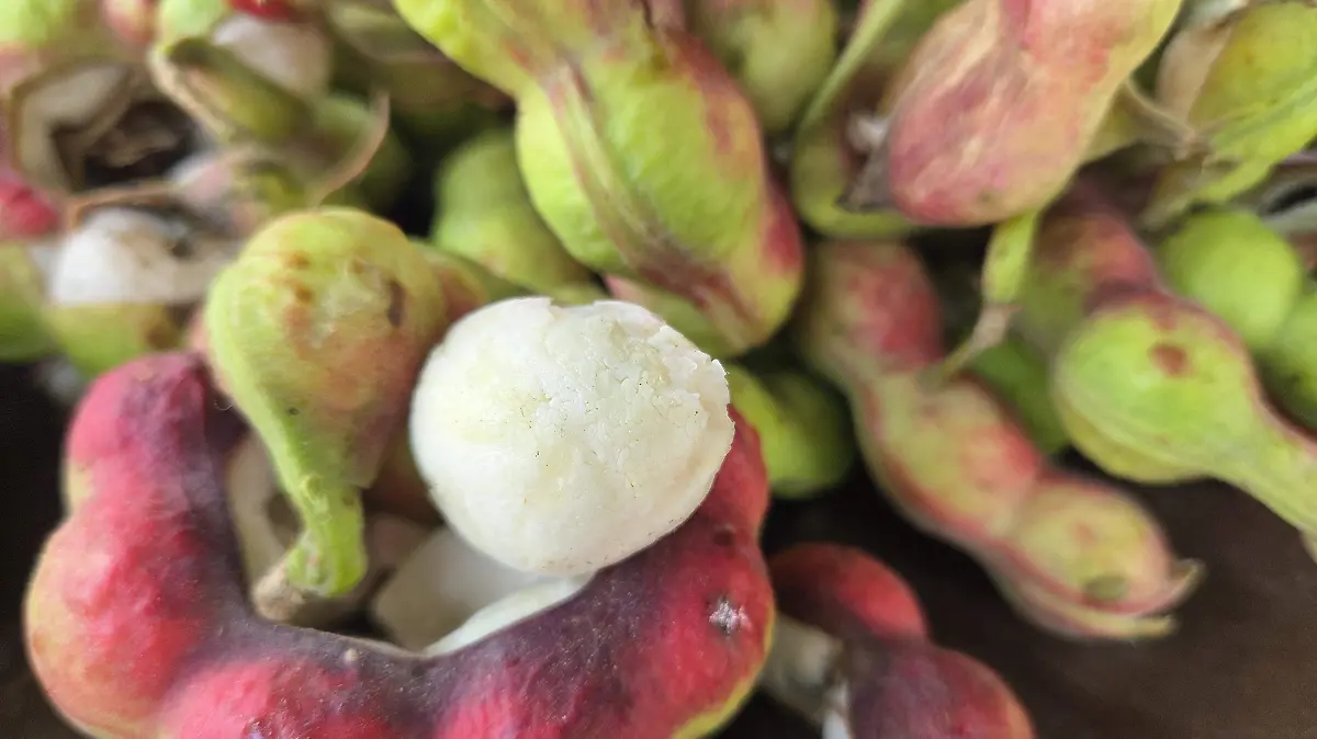 Fruta Veracruz Humos